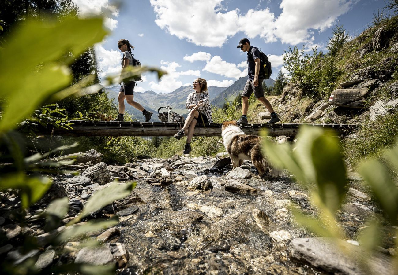 Aparthotel in Scuol - Plavna Serviced Apartment #920 Nord West